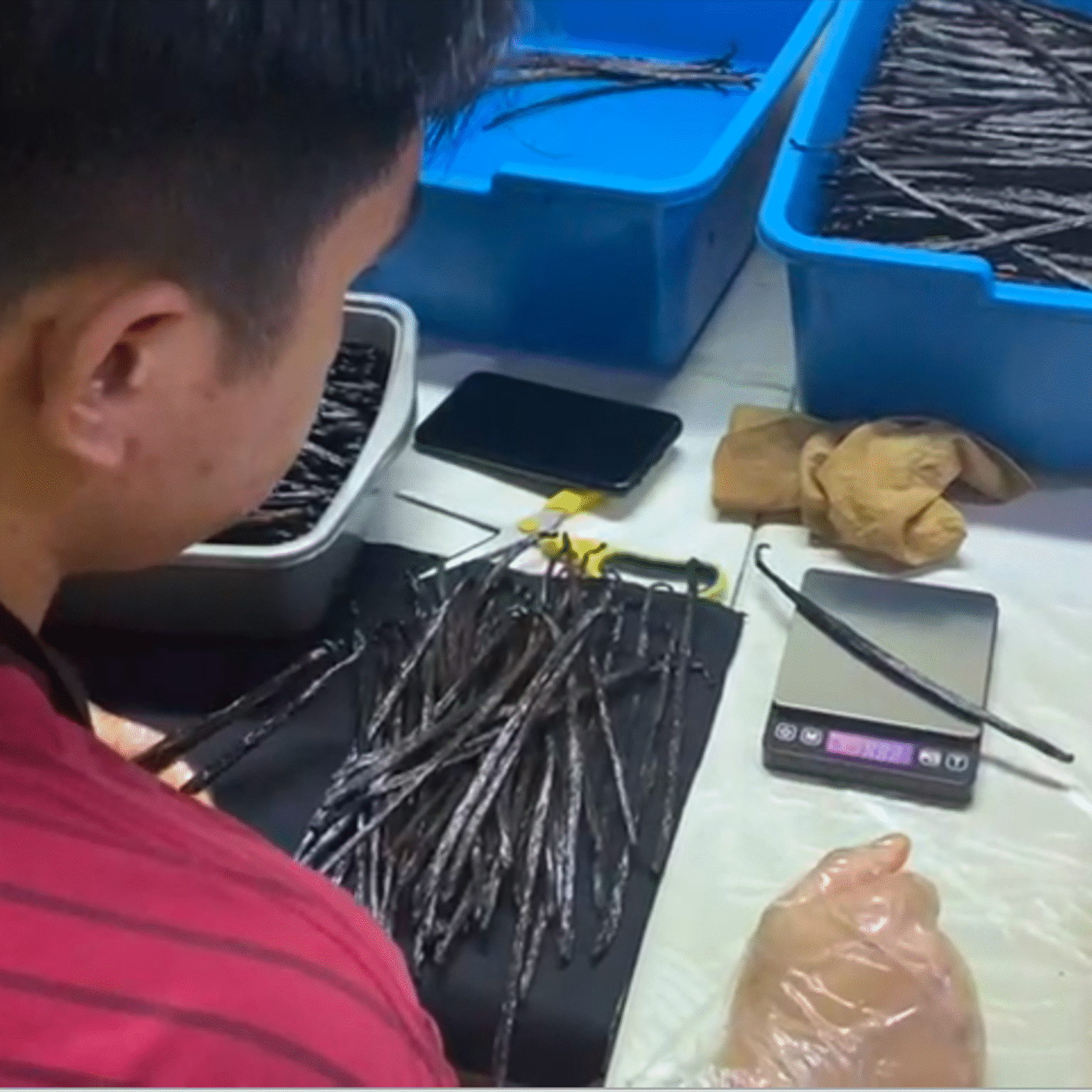 handsort